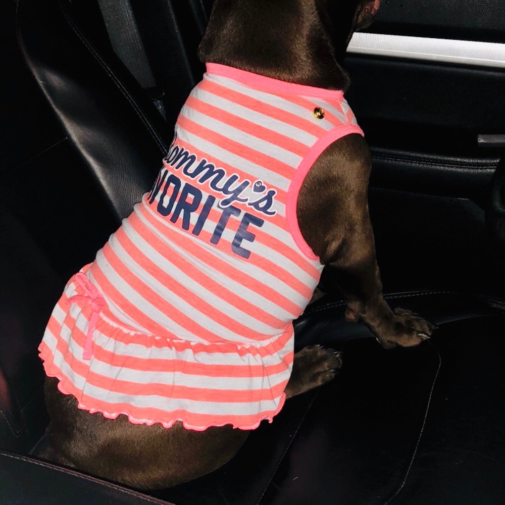 Female Dog dress